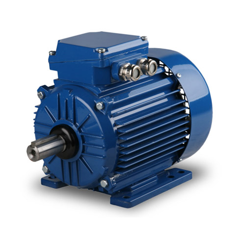 Electric Motor